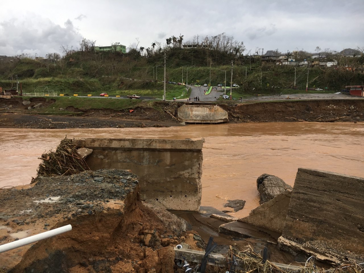 Impassable road in forest of Virgin Islands