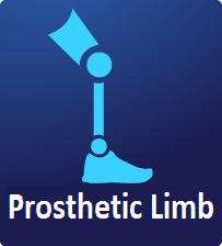 Prosthetic Limb