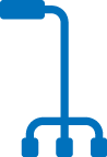 Cane
