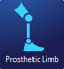 Prosthetic Limb