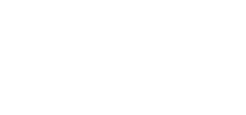 Advanced Air Mobility Interagency Working Group logo.