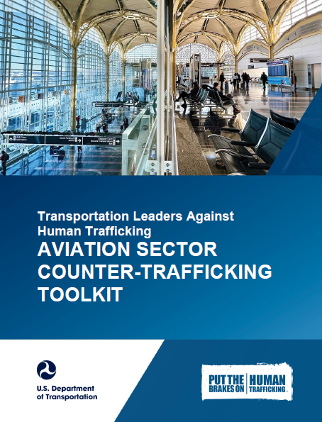An image of the aviation sector toolkit.
