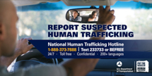 Counter-trafficking visor card, suitable for use in rideshares, taxis, and limousines.
