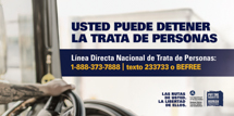 Counter-trafficking visor card, suitable for use in the trucking industry.