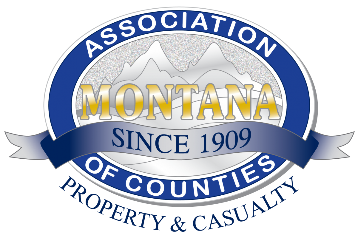 Association of Counties logo