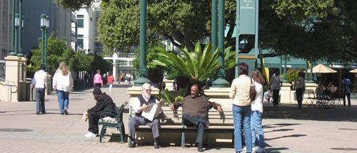 people of various age groups sitting in a park