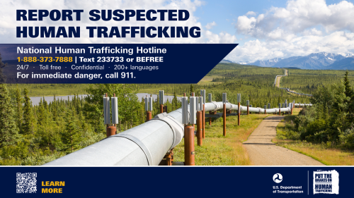 Pipelines digital display