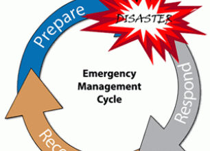 Emergency Management Cycle