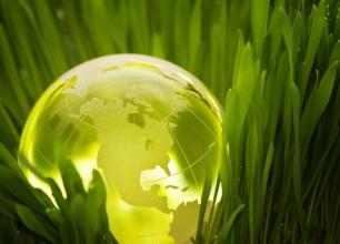 Glowing globe in grass