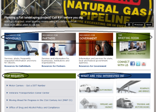 Screen capture of the new home page for D.O.T.