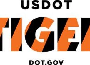 tiger logo