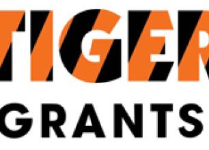 Tiger Logo